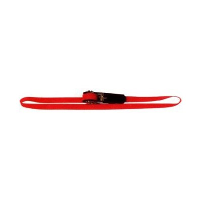 SISTEMA DI ANCORAGGIO CON CRICCHETTO 0906 - AD ANELLO