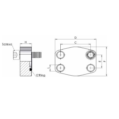06FC - Flange cieche