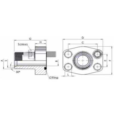 G3FD - Flange a tenuta conica a 60 filettate BSP