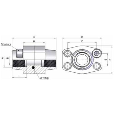 06DN - Doppie Flange Filettate NPT