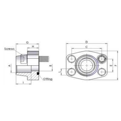 06FS - Flange a saldare di tasca