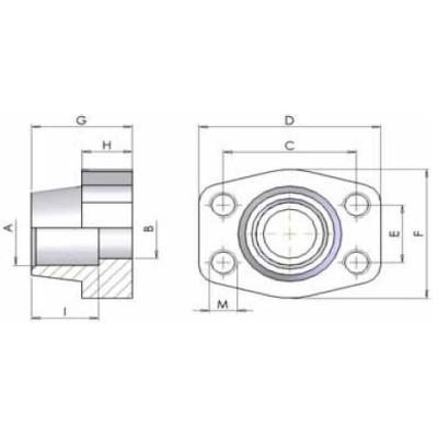 06CS - Controflange a saldare di tasca