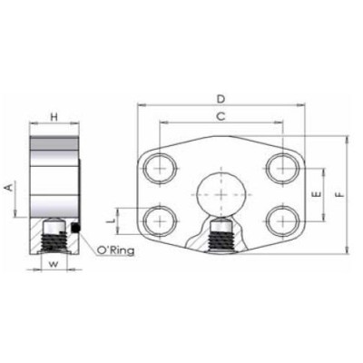 C6FF - Flange SAE per controllo di Pressione