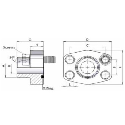 06FB - Flange a saldare di testa