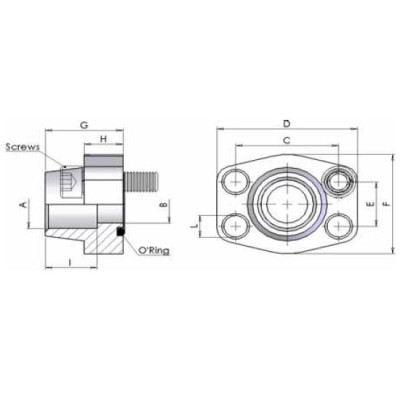 M6FS - Flange a saldare di tasca tubo metrico