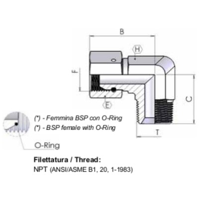 5046 - Gomito 90° F girevole BSP / M NPTF