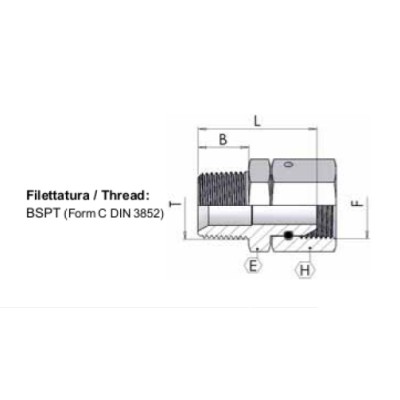 6023 - Nipplo M BSPT / F girevole BSP
