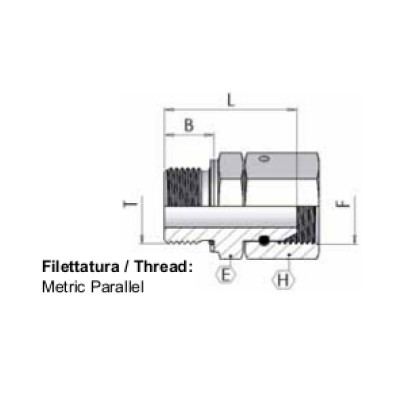 6035 - Femmina girevole BSP/Metrico DIN 3852-1
