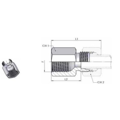 5072 SF - Terminale diritto femmina
