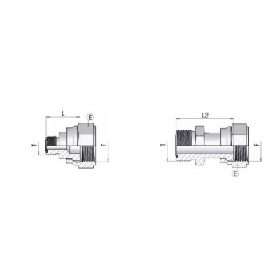 5660 - Riduzione maschio - femmina ORFS