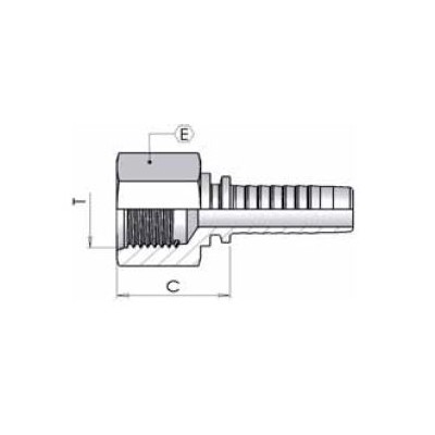 5R00 - Femmina Fissa BSP per O'Ring