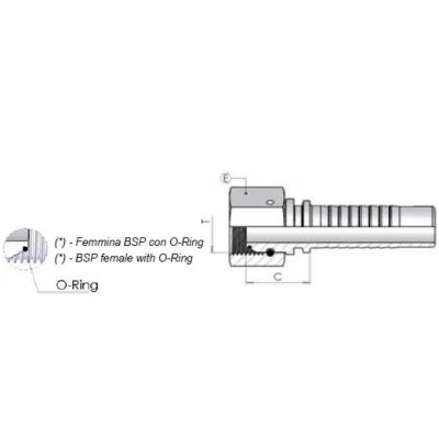 50M00 - Femmina BSP cono 60 Dado Spinato