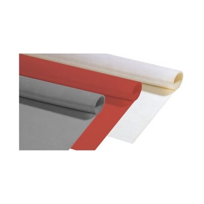 Lastra in silicone TR trasparente